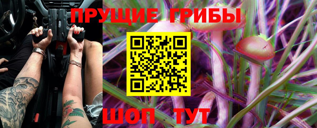 Галлюциногенные грибы MAGIC MUSHROOMS Гуково