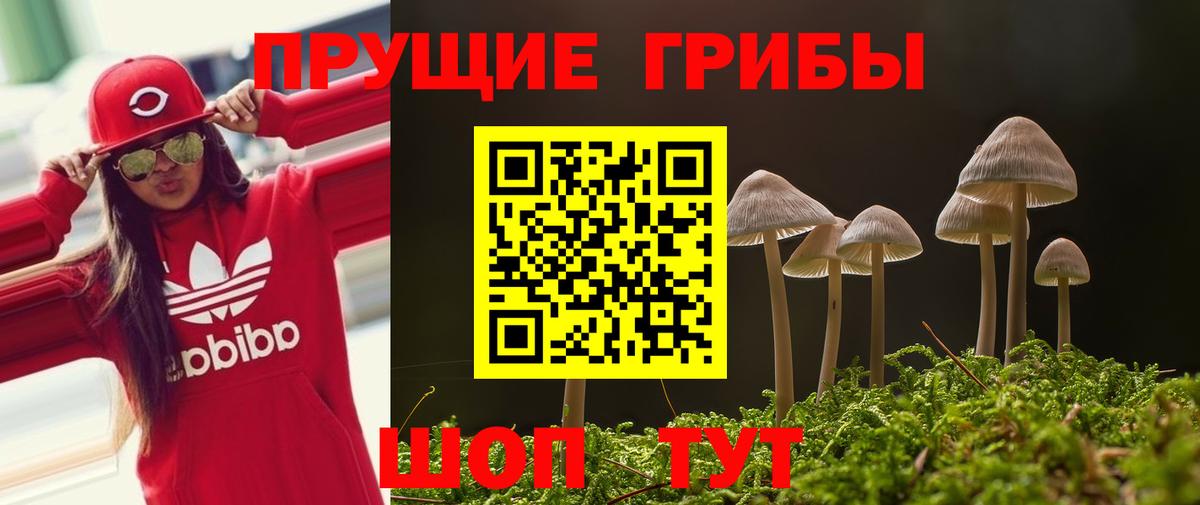 Гуково  Галлюциногенные грибы GOLDEN TEACHER  Вход с VPN 